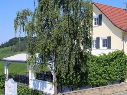 Foto: Gasthof Hohly